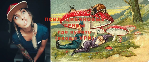 прущие крисы Белоозёрский