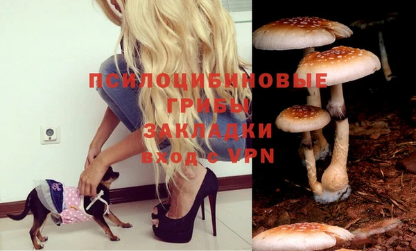 таблы Балахна