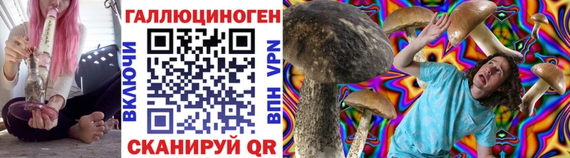 Псилоцибиновые грибы прущие грибы  Геленджик 